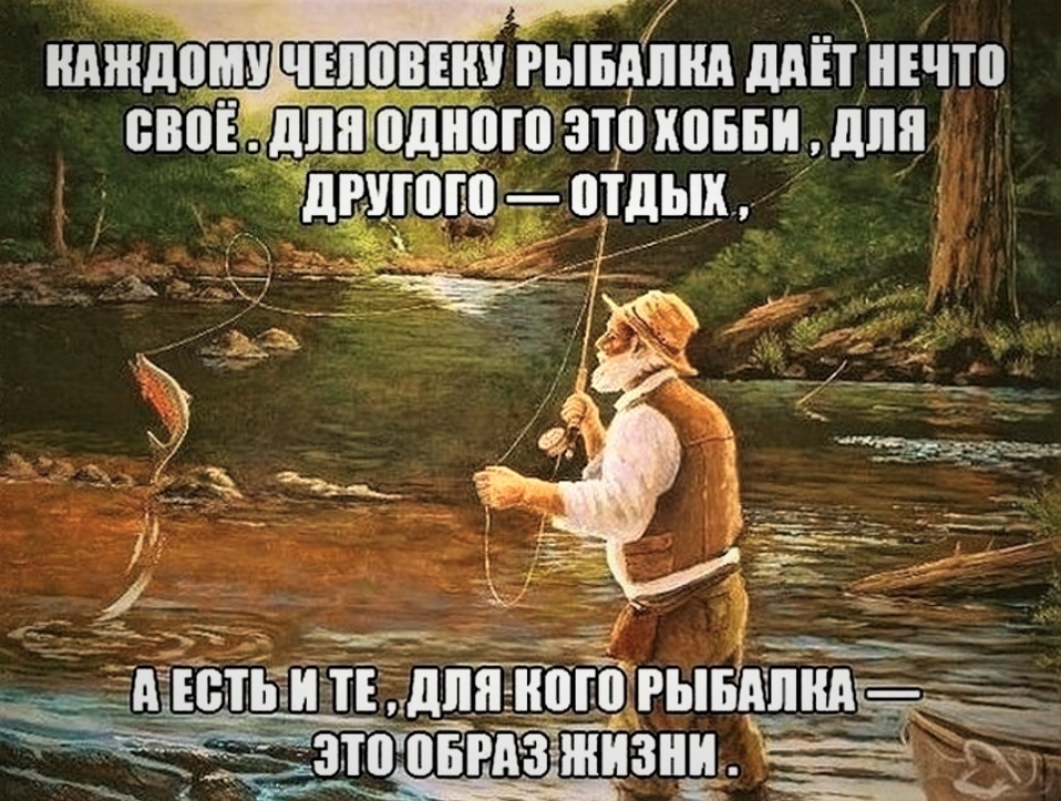 На каждую рыбу. Цитаты про рыбалку. Высказывания про рыбалку. Афоризмы про рыбалку смешные. Смешные фразы про рыбалку.