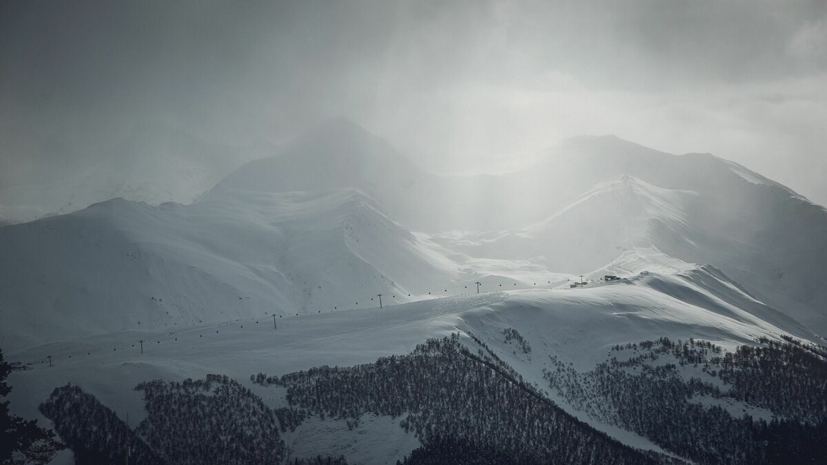     Есть несколько способов проинформировать ведомство.