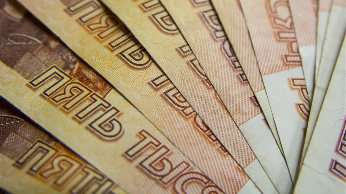 Школьникам выдадут определенные денежные средства на подготовку к новому учебному году. Фото: