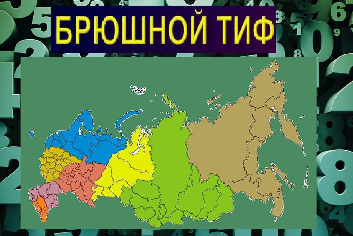 Брюшной тиф в России. Интересные факты | Медицина ИНТЕРЕСНО | Дзен