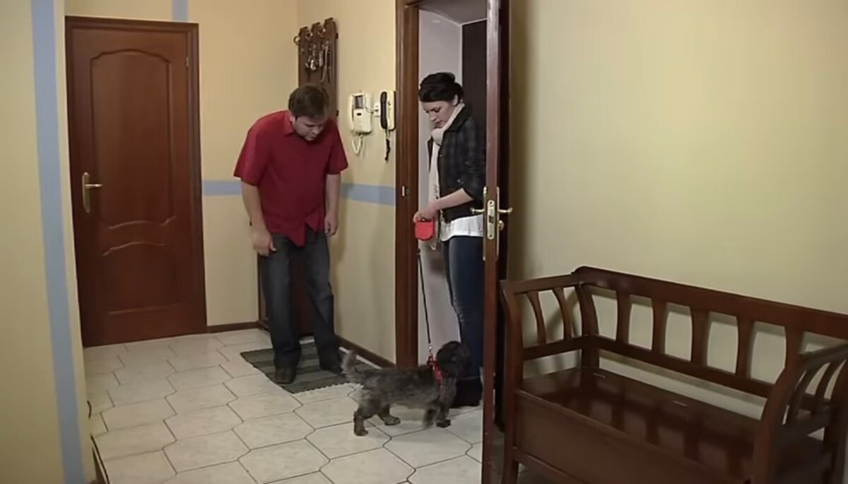 - Хотела вас попросить помощи, вы не могли бы вечером с моей собакой погулять, я сегодня на сутках, вот ключи.