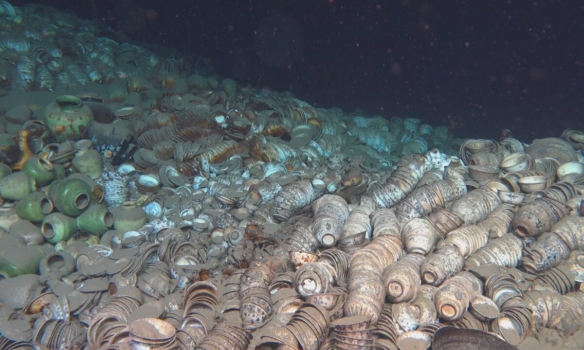 рыба в южно китайском море