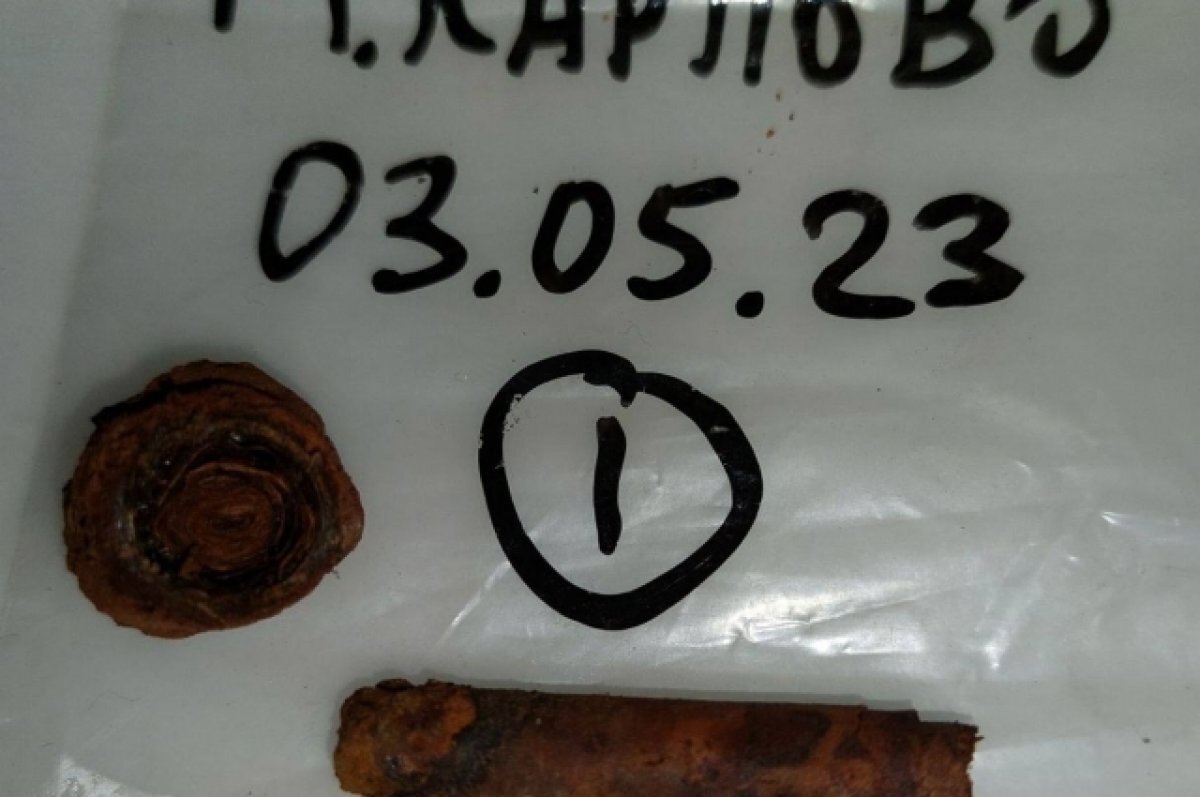    Установлено имя солдата, останки которого нашли весной в Тверской области