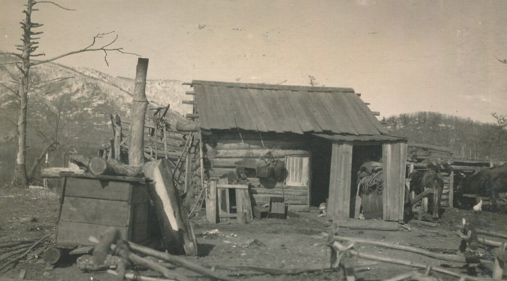 Корейская фанза посреди дальневосточной тайги. 1930е годы.