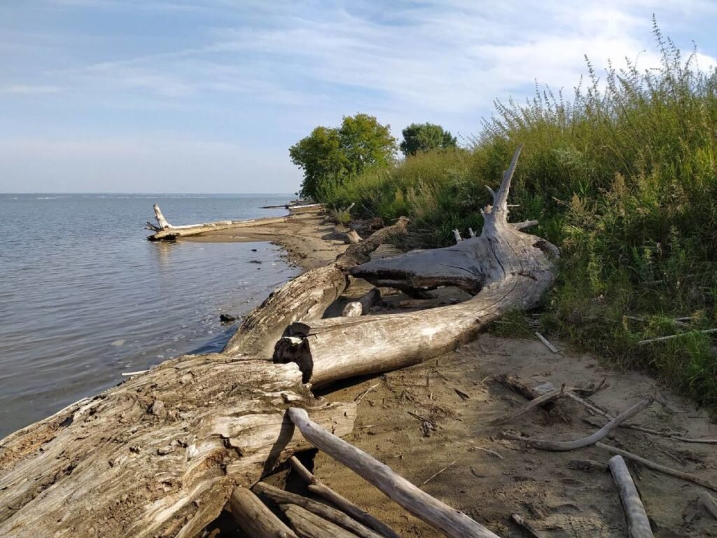 Уровень обского водохранилища. Обское водохранилище Новосибирск. Обское водохранилище затопленный Бердск. Аванпорт Новосибирск Обское море. Обское водохранилище пляж.