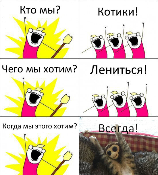 Мем кто мы женщины чего мы хотим