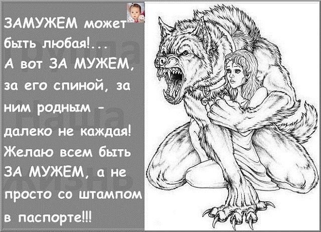 с интернета 
