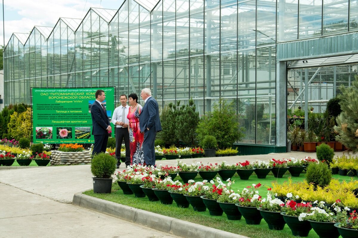 тепличный комплекс в боброве. воронежский тепличный комбинат воронеж. тепличный комбинат воронеж. спбглту ландшафтная архитектура. тепличный комплекс воронежский бобров.
