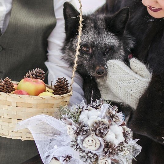 Искала фотографии со свадьбы для публикации и поняла..что они в компьютере бывшего мужа. 