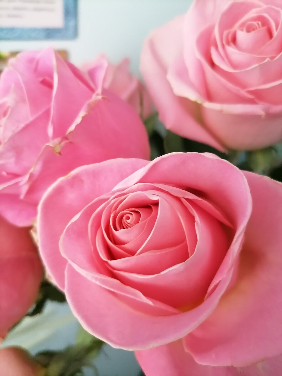 Фото для иллюстрации: цветы тете точно не стоит дарить, там даже вазы нет. 