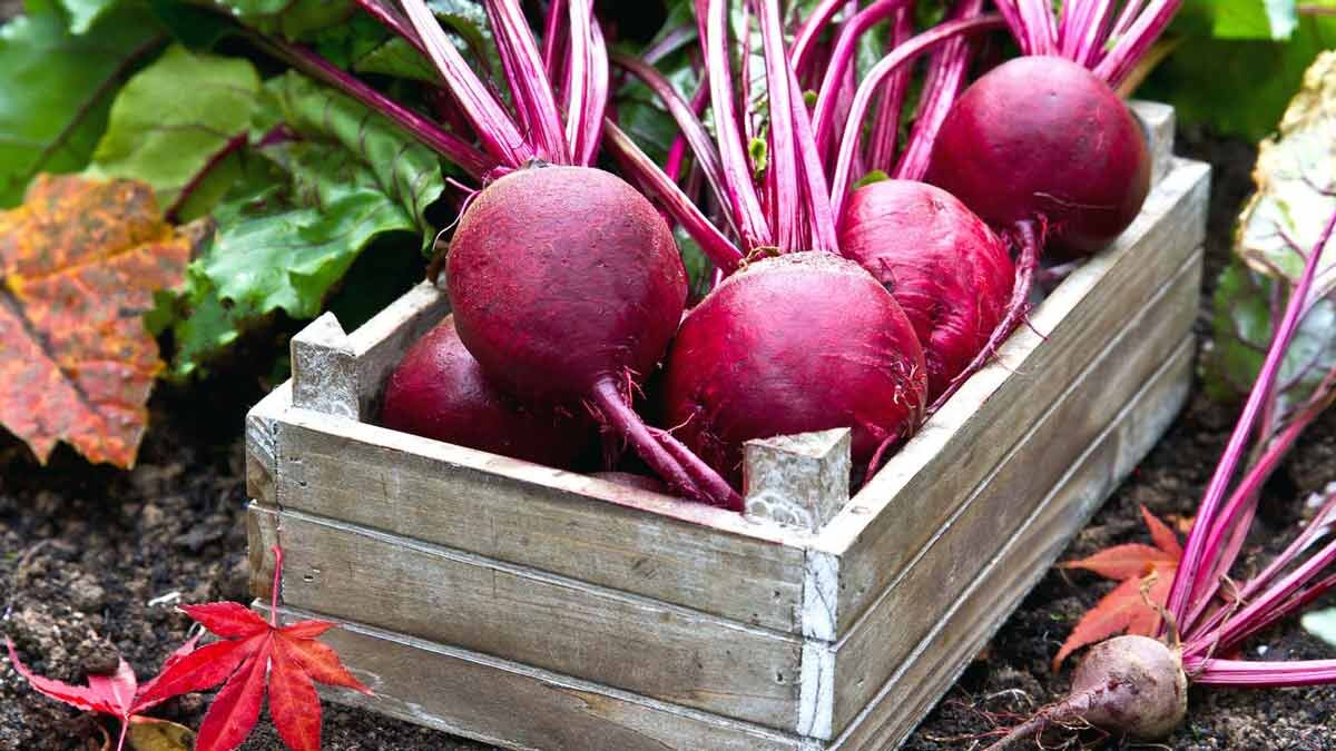 Изображение из свободных источников