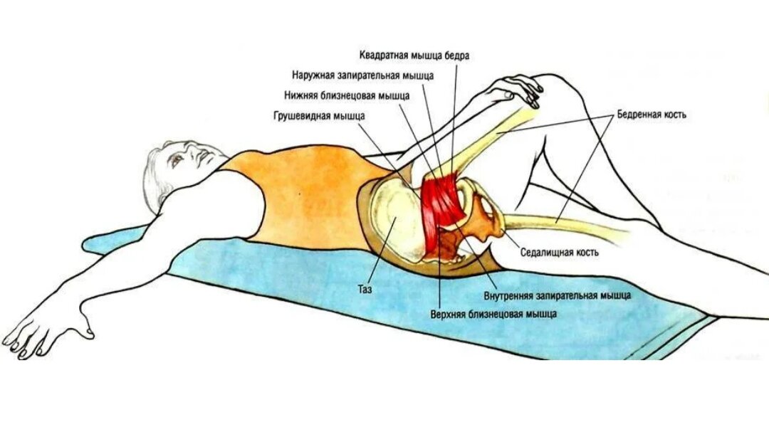 Упражнения для растяжки седалищного нерва дома картинки