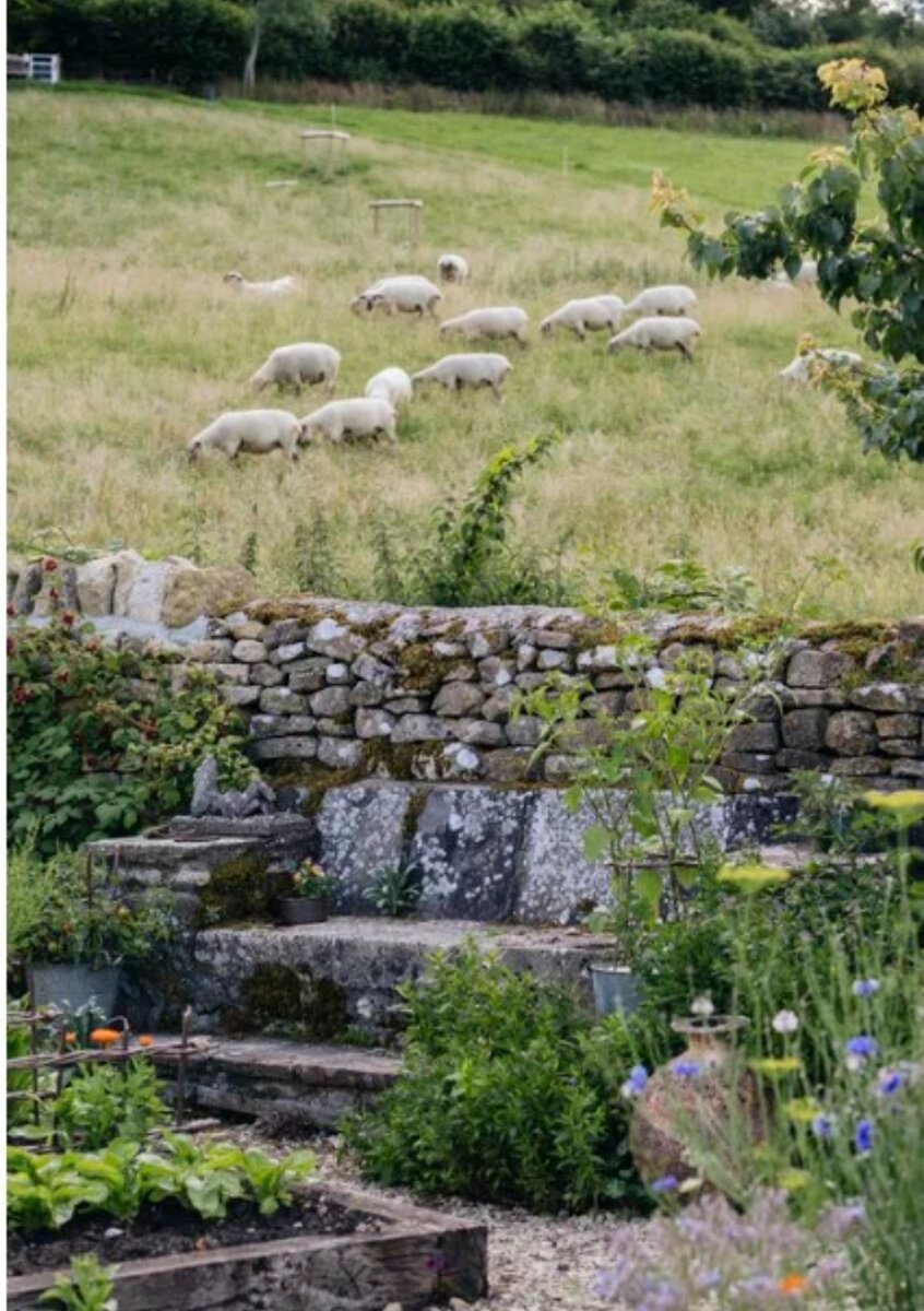 Огород с видом на холмы. Сад Элисон находится на окраине деревни