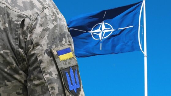    В Венгрии заявили о неприемлемости обучения украинских военных под флагом НАТО Анна Оленькова