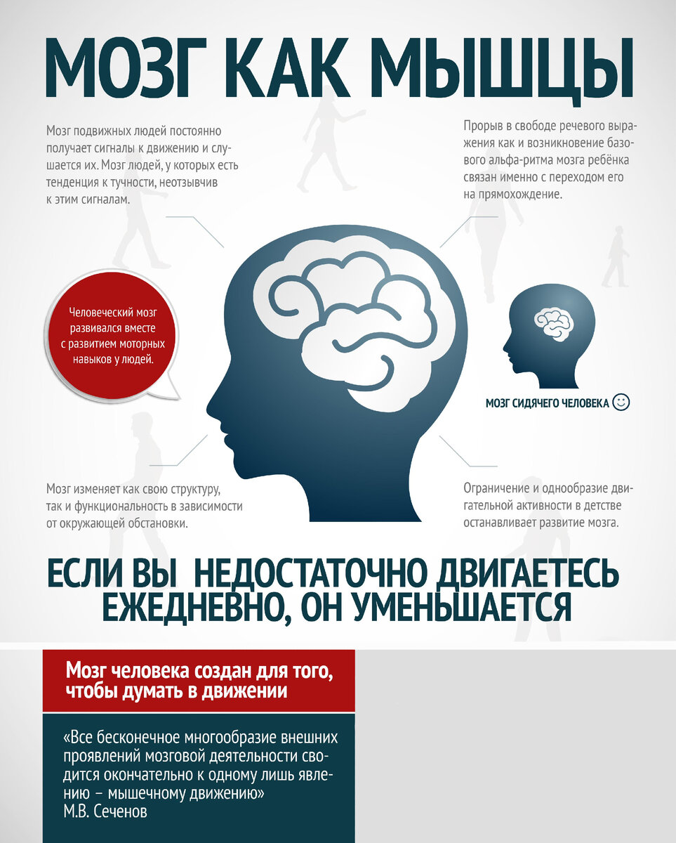 9 примеров того, как мы влияем на свой мозг Немецкие цитаты, Интересные факты, У