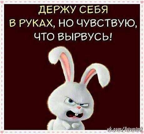 Фото взято из открытого источника