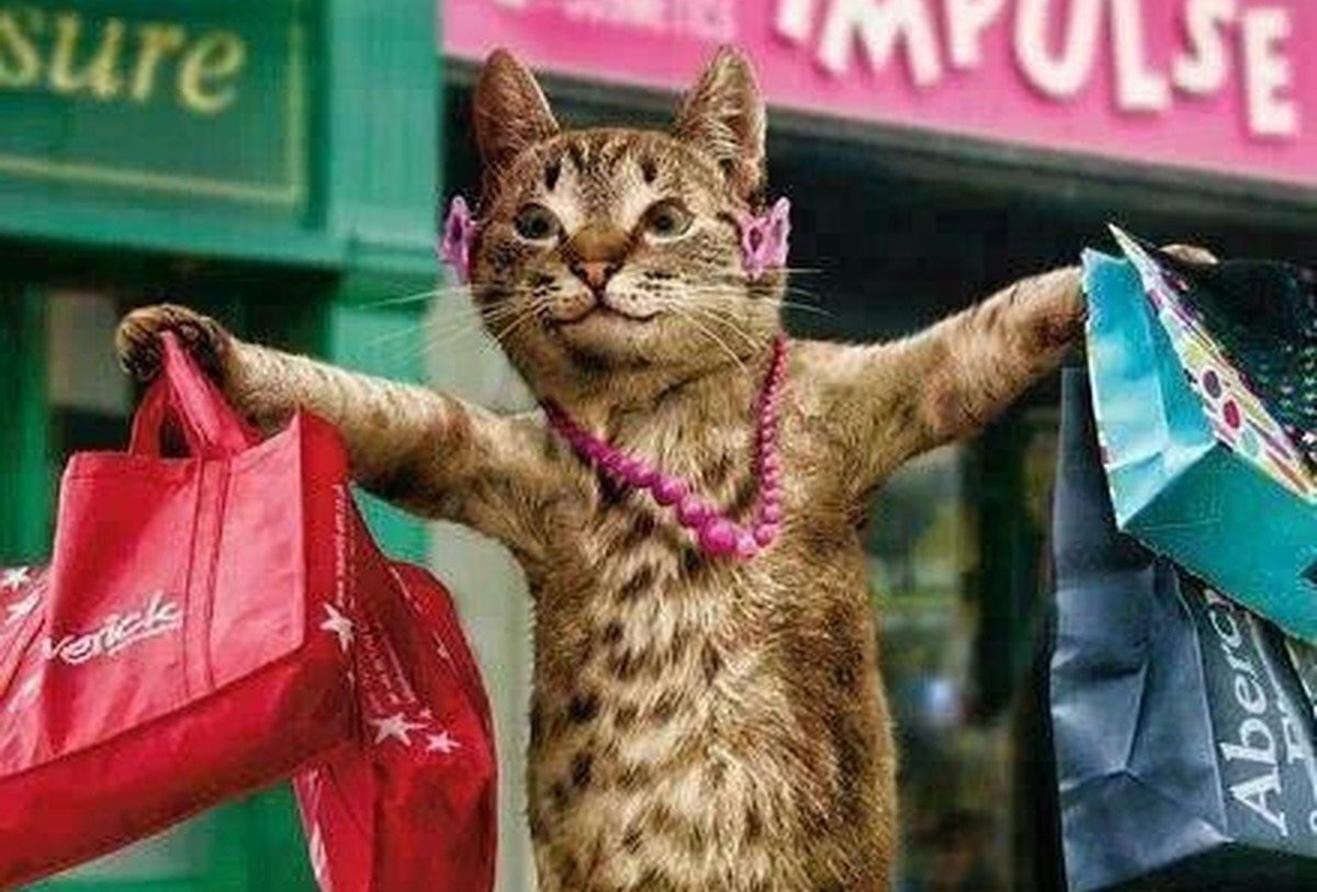 Первые приготовления выглядят приблизительно так😂😂😂