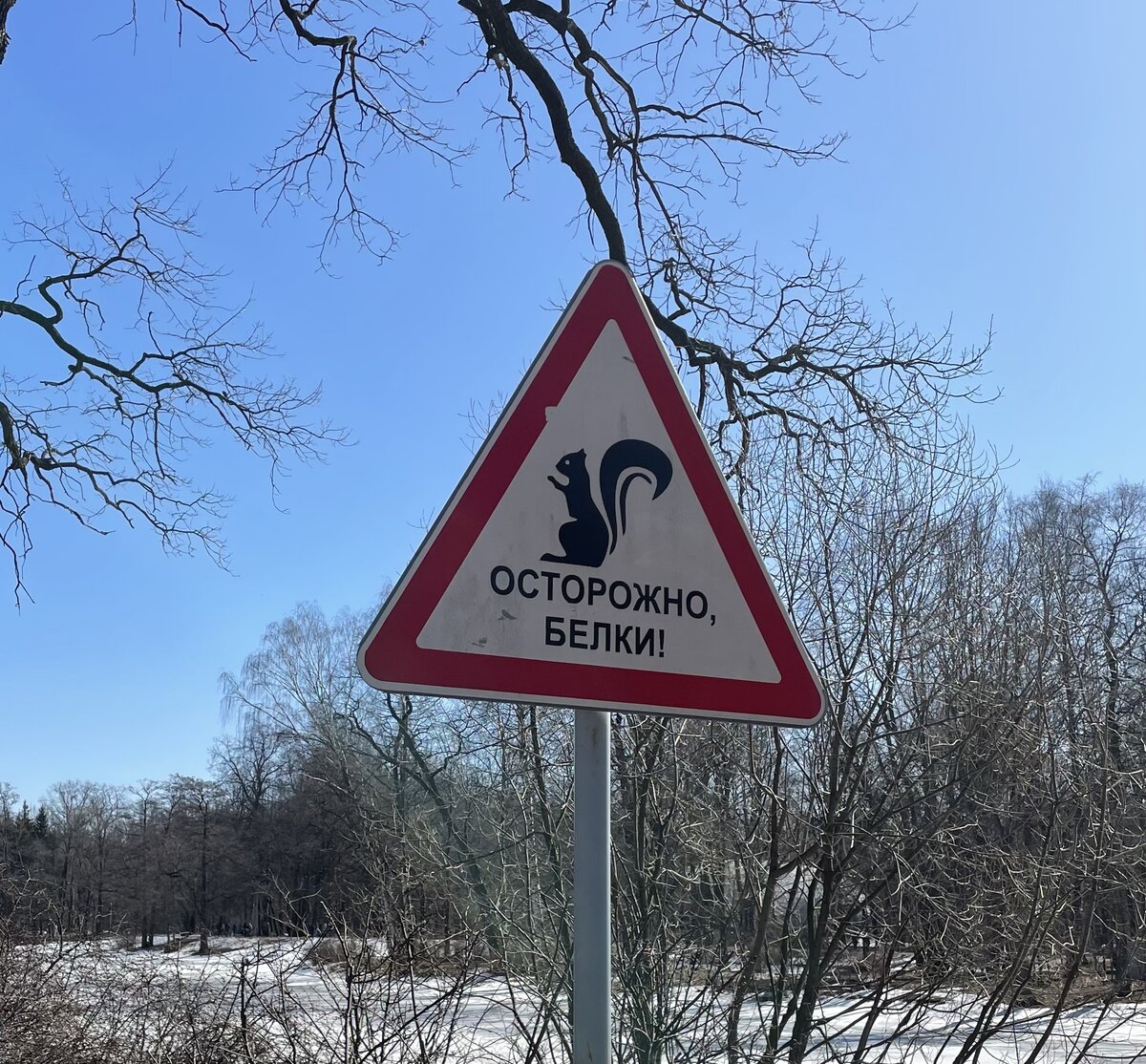 Осторожно, белки!