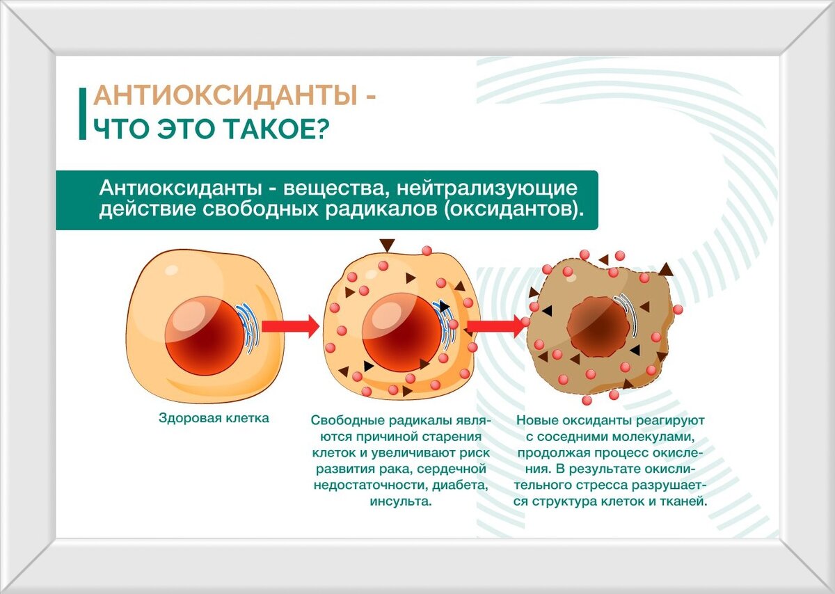 Что такое антиоксиданты. Антиоксиданты это. Антиоксидантное действие это. При разрушении каких клеток.