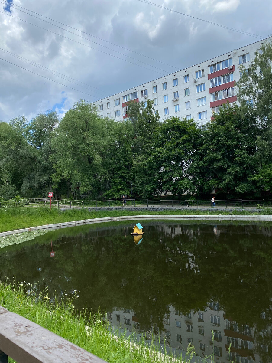 То самое озеро у дома. Любим смотреть на уточек.