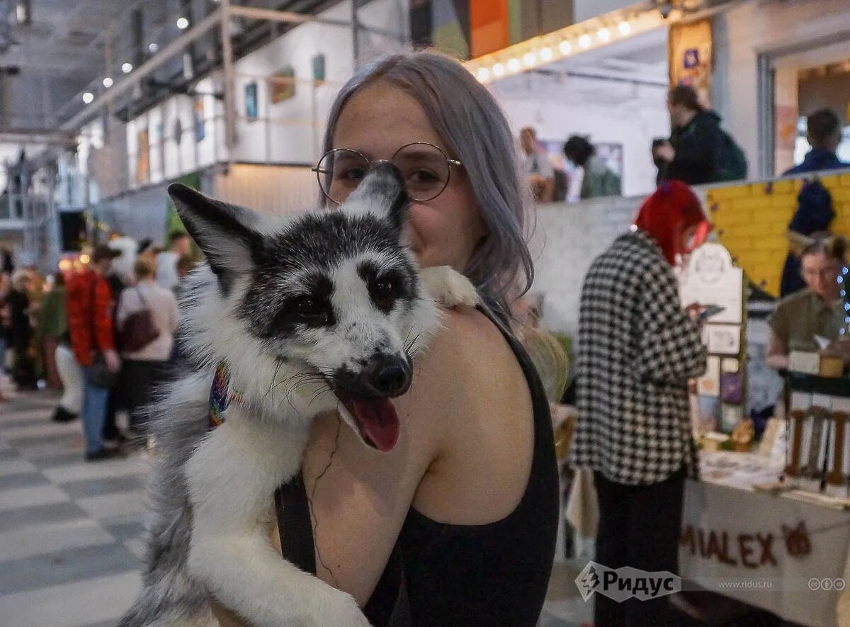 Fox family fest. Никаких клеток.© Ольга Соколова / Ridus