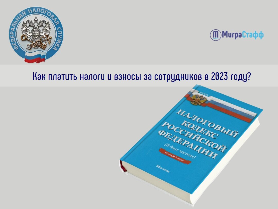 КАК ПЛАТИТЬ НАЛОГИ И ВЗНОСЫ ЗА СОТРУДНИКОВ В 2023 ГОДУ | МиграСтафф | Дзен