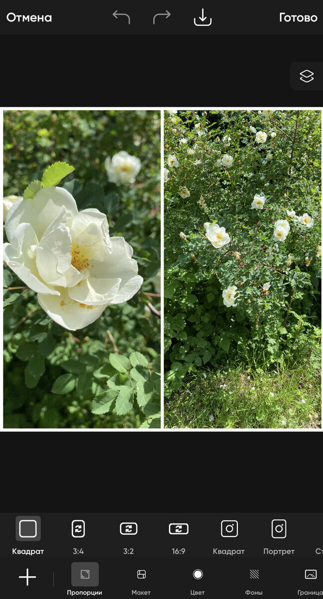 В скрине фото автора )