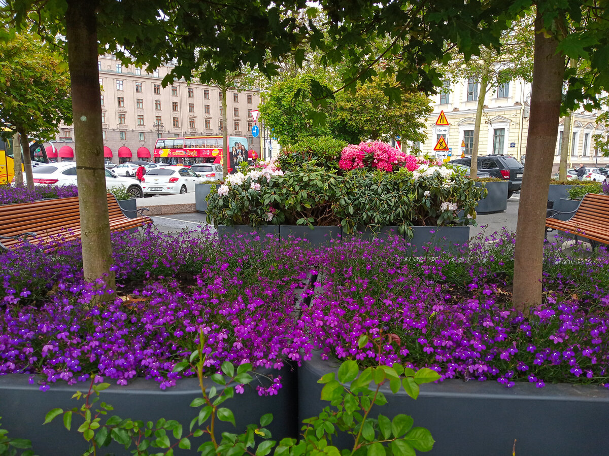 Сад на Синем мосту в Санкт-Петербурге. Фото автора