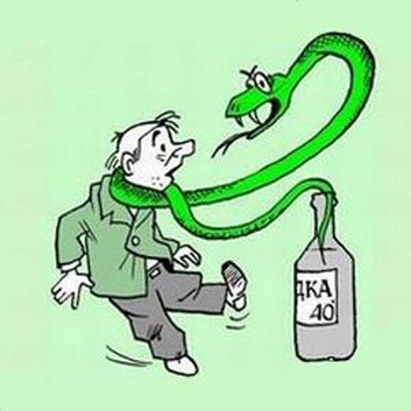 Фото открытый источник интернет