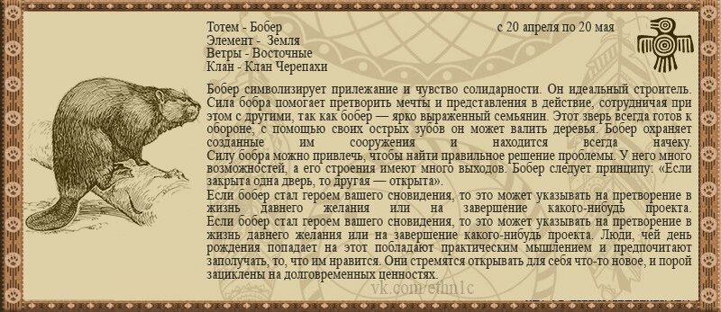 Тотем клана. Тотемное животное. Тотемные животные по годам. Гороскоп тотемных животных. Тотемное животное тельца.