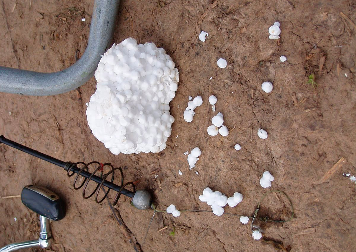 Фото с сайта: https://likewot.ru