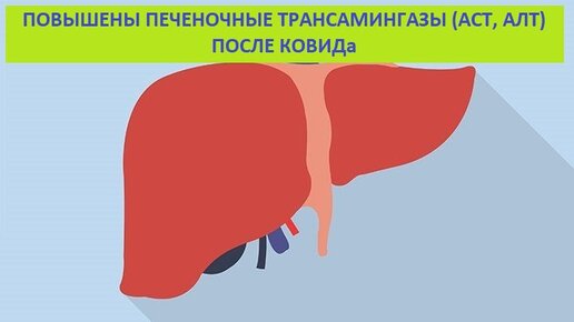 Аст печень повышен. Алт и аст при инфаркте. Алт аст. Аст печень повышен. Повышение аст при инфаркте.