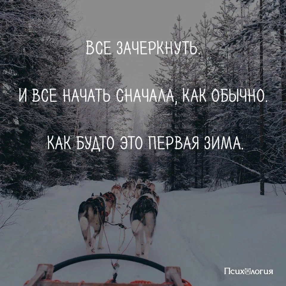 Как будто новый. Афоризмы про начало зимы. Цитаты про зиму Эстетика. Все начать сначала как будто это первая зима. Начать сначала.