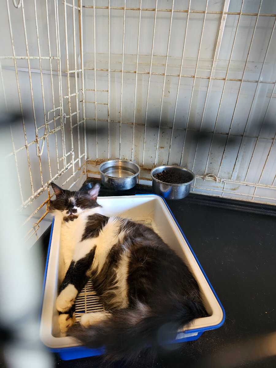 Фото автора. В ожидании наполнителя надо полежать в горшочке.