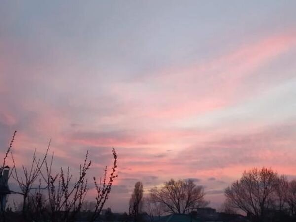 Источник фото: © «Панорама»