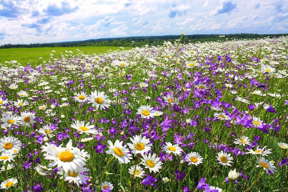 Фото взято из интернета 