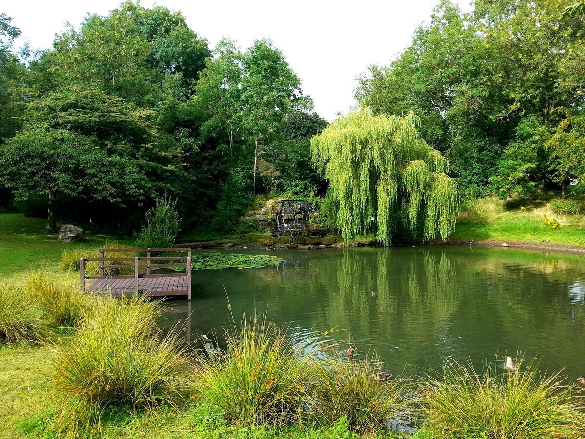 из открытых источников