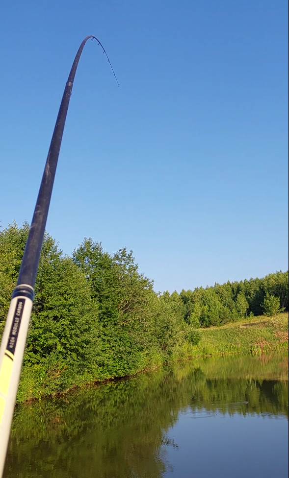 Момент борьбы с карпом - фото Данила Трапезникова