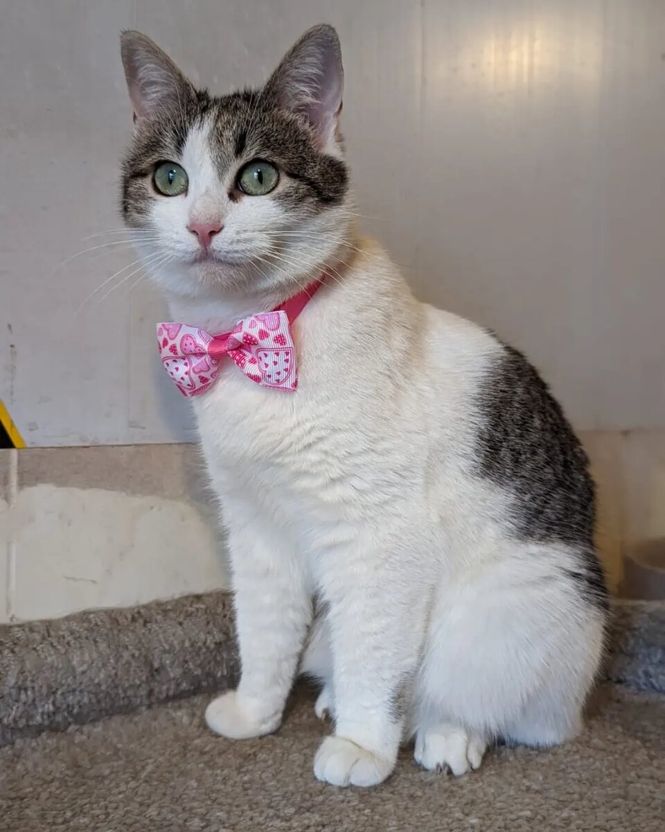 Сегодня Соня отметила свои 2 годика