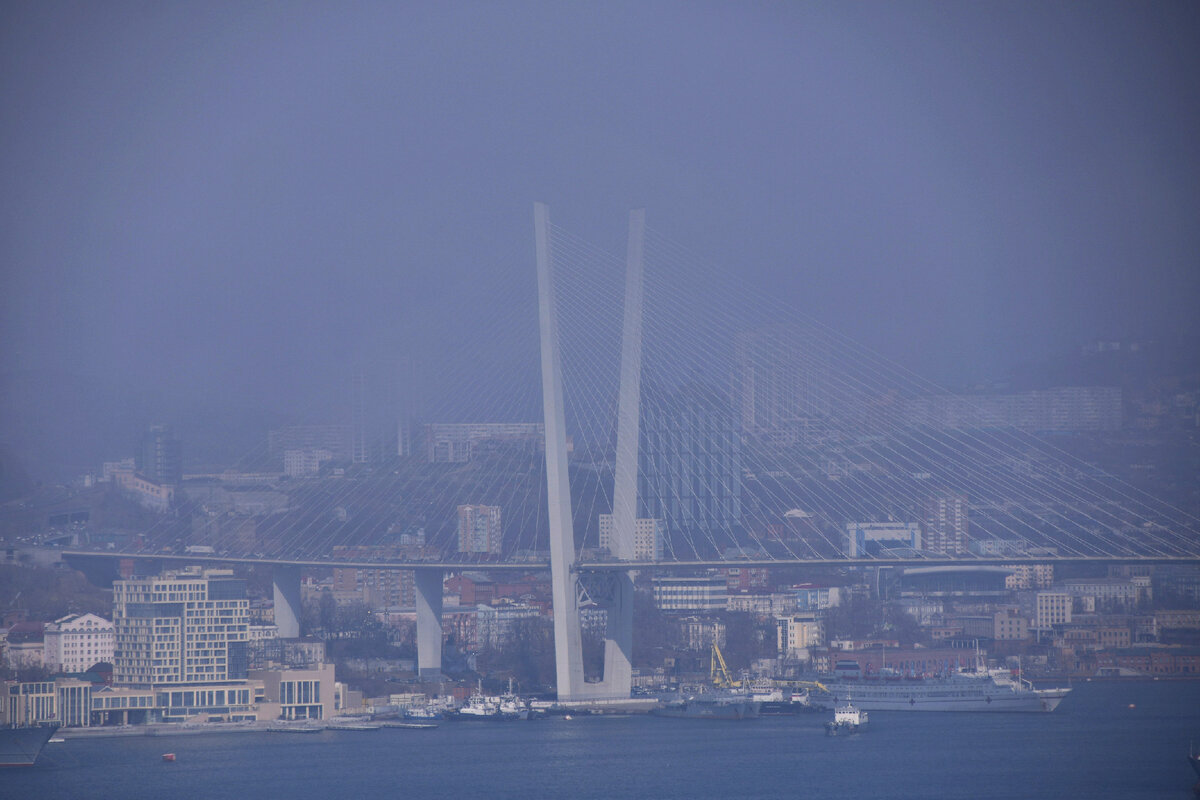 Вид с Крестовой сопки на Золотой мост