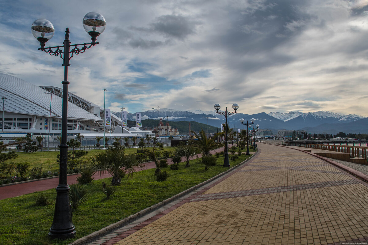 Адлер весной фото