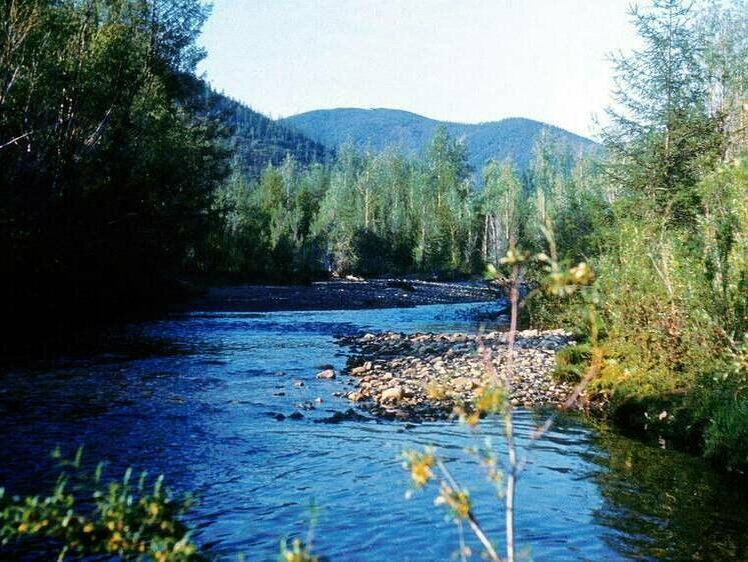     Фото Александр Корнющенко/Московский комсомолец