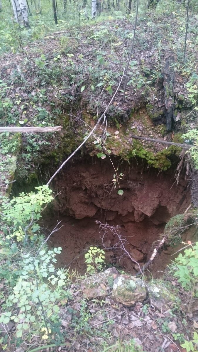 Было несколько таких ям. Судя по всему, земля просто уходила вниз. 