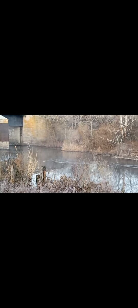 Не видно на фото тумана