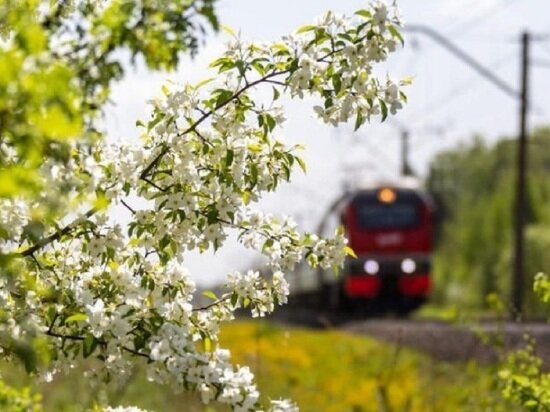     Фото: пресс-служба СвЖД.