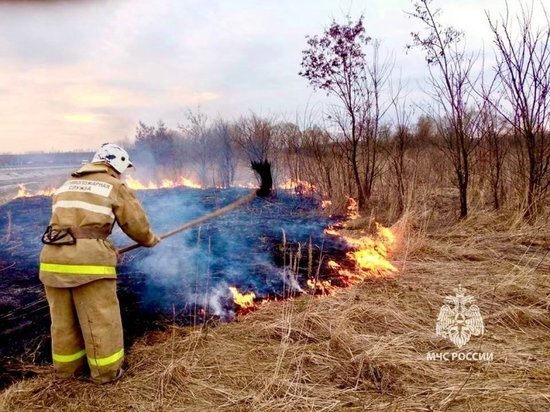     Фото: ГУ МЧС по Курской области