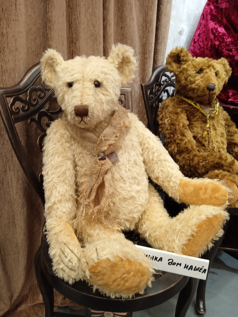 Фото автора. Мишка дом нашёл. 