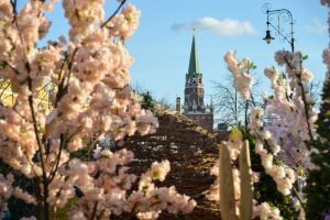    Фото: mosday.ru Валерия Трофимова