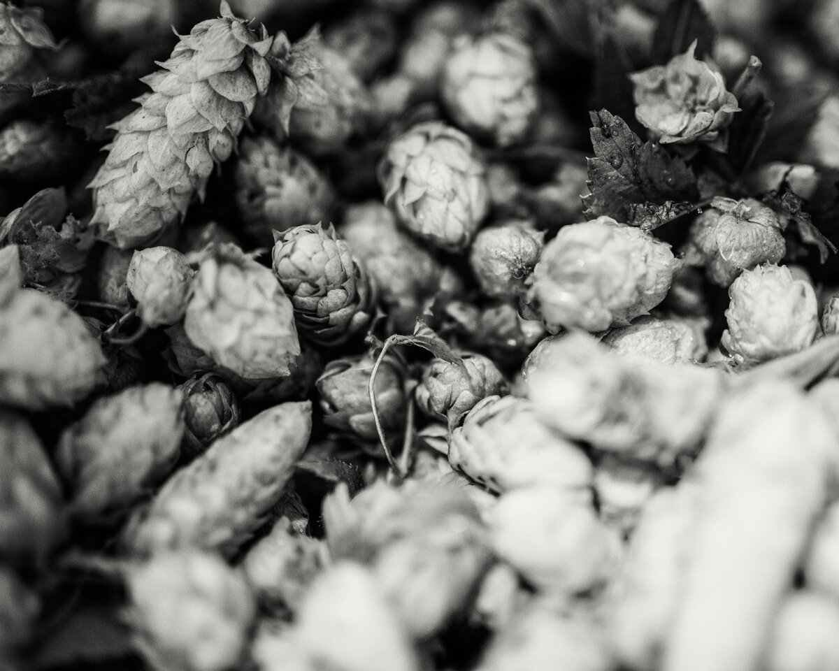 By Missy Fant on Unsplash