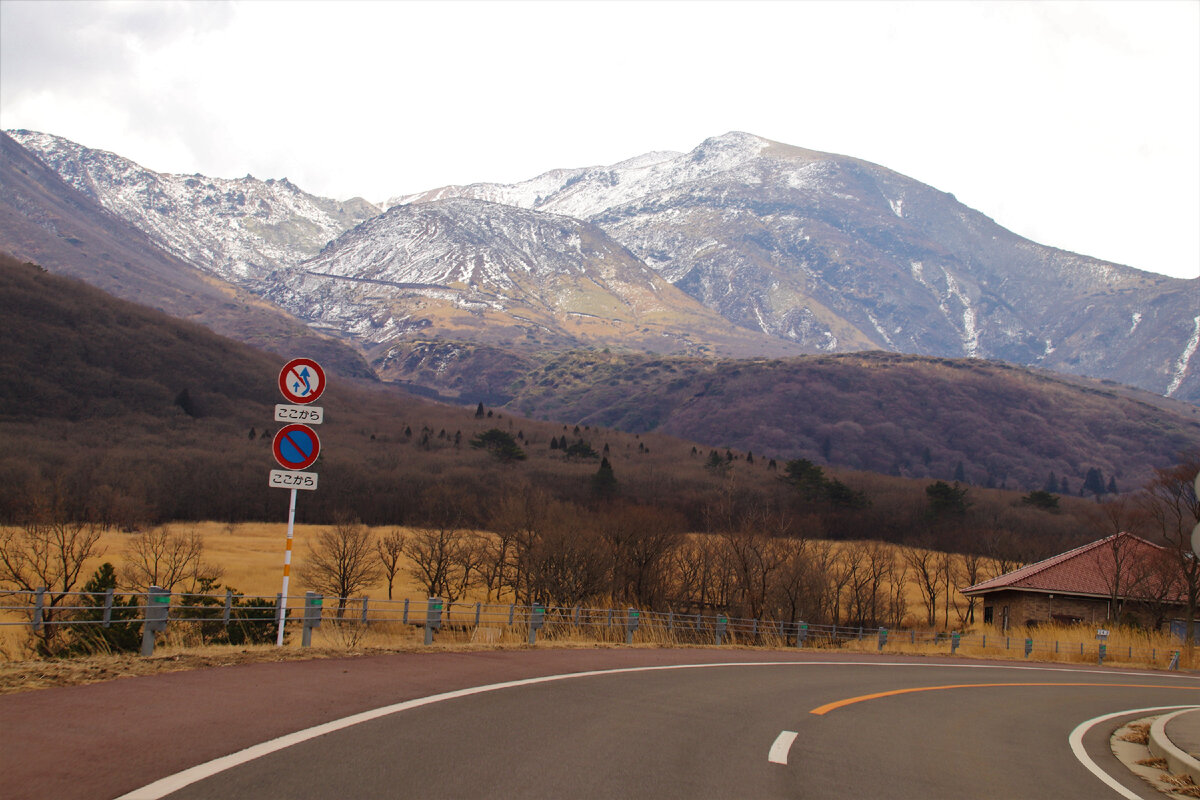 Почему японцы каждую весну поджигают склоны гор и любуются этим ...